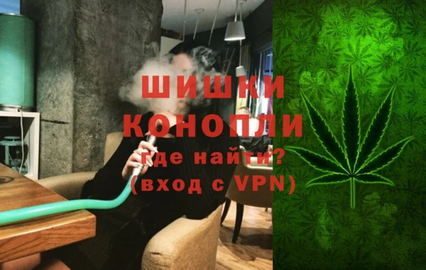 PSILOCYBIN Алзамай