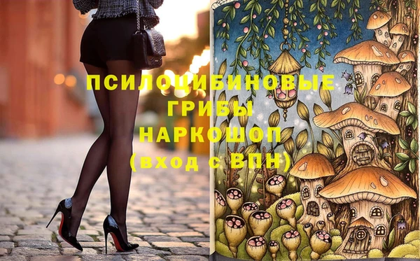 PSILOCYBIN Алзамай
