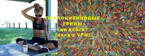 PSILOCYBIN Алзамай