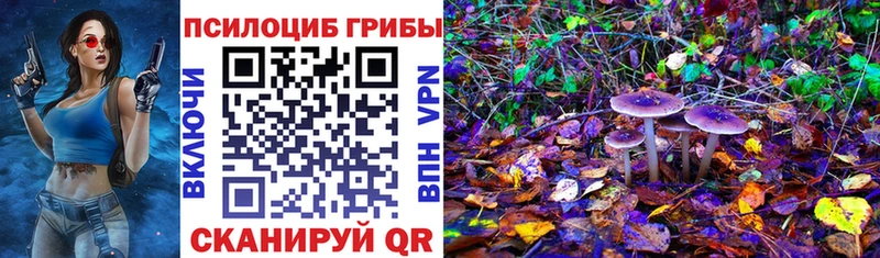 где продают   мега зеркало  Псилоцибиновые грибы MAGIC MUSHROOMS  Чегем 